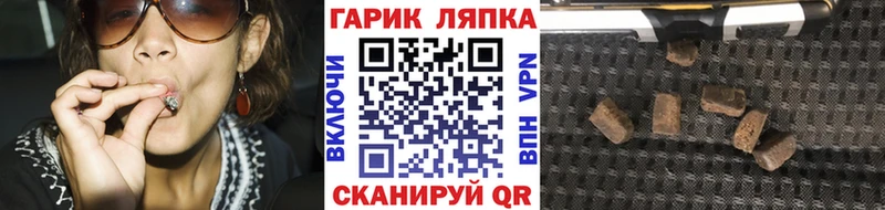 ГАШ Premium  Купить где  Мариинский Посад 