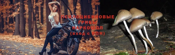 бутират Белокуриха