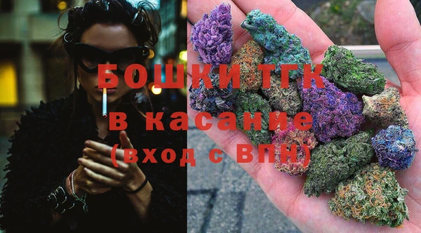 амф Богородицк