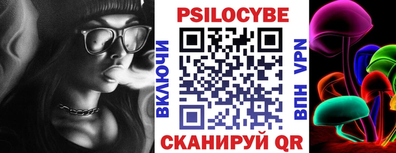Псилоцибиновые грибы Psilocybe  Купить  Мариинский Посад 